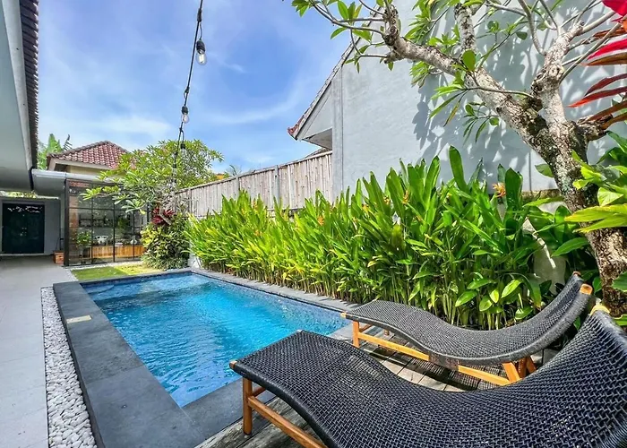 Island Boy N Prime Location In